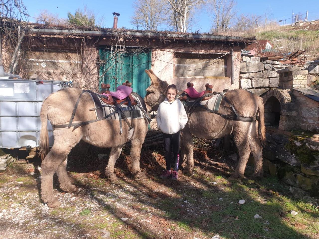 Gite A La Ferme Dans Les Gorges Du Tarn Vila Ispagnac Exterior foto